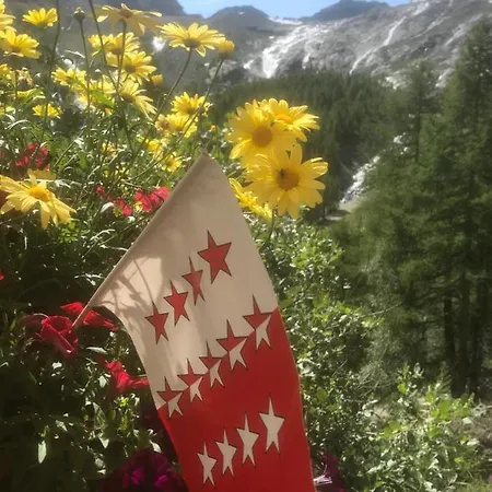 Gemutliche Sonnige Bergpanoramasicht * Albinen
